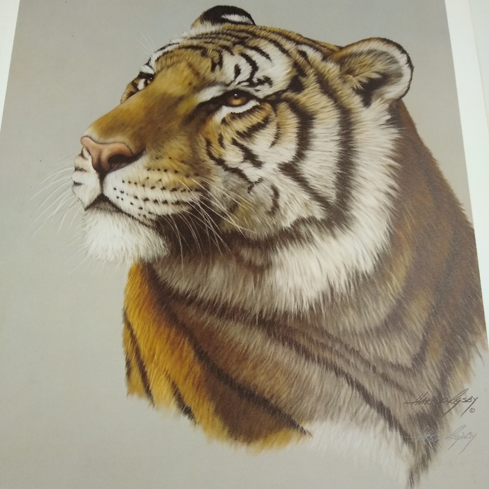 LSU Bengal Tiger By Harold Rigsby Double Signed